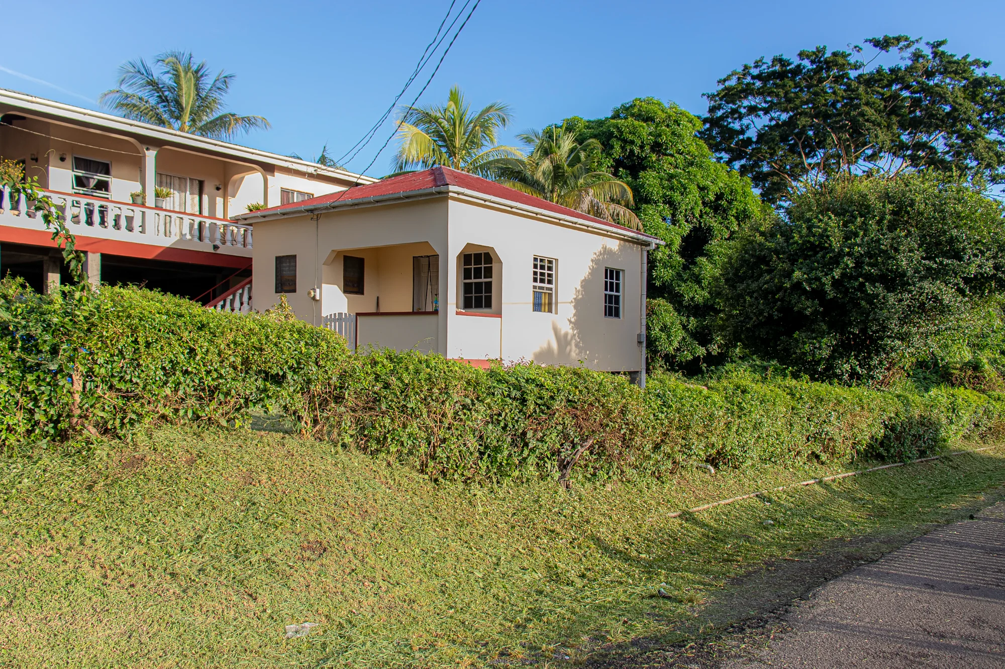 Cottage surrounded by palm trees
